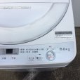画像4: 2017年製　シャープ　全自動洗濯機　6.0kg 