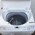 画像5: 2017年製　シャープ　全自動洗濯機　6.0kg 