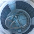 画像2: 2019年製　東芝　全自動洗濯機　8.0kg  (2)