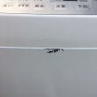 画像8: 2017年製　シャープ　全自動洗濯機　6.0kg  (8)